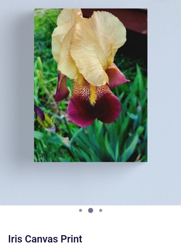 post photo preview