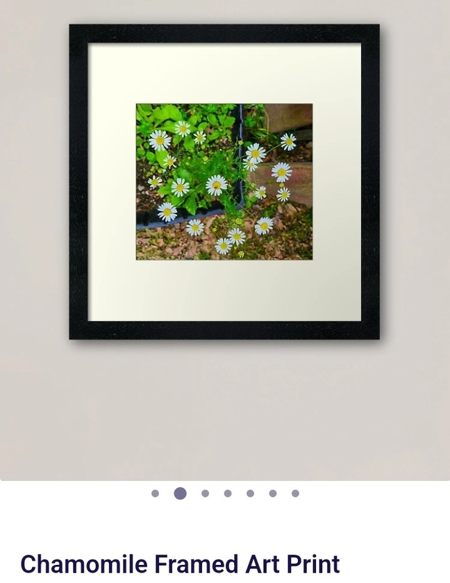 post photo preview