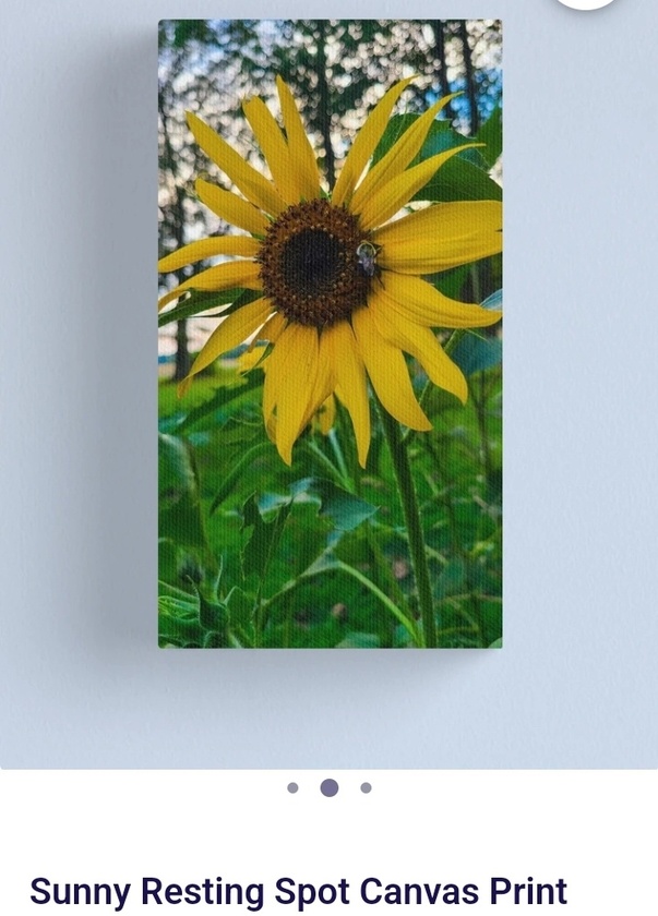 post photo preview