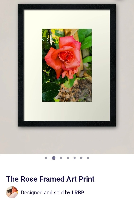 post photo preview