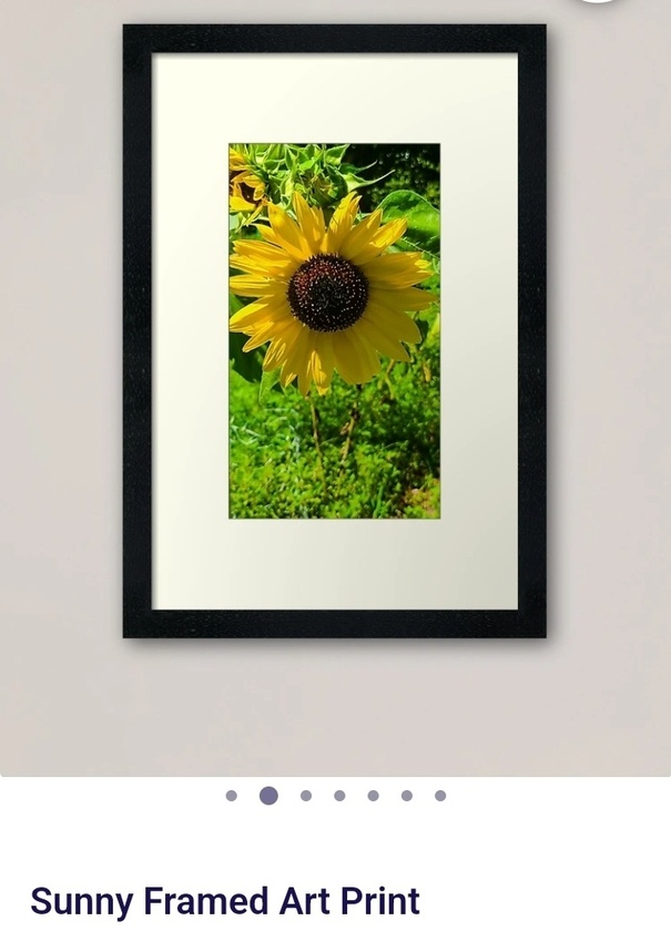 post photo preview