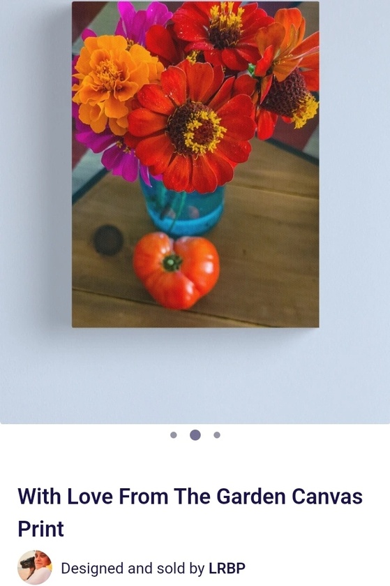 post photo preview