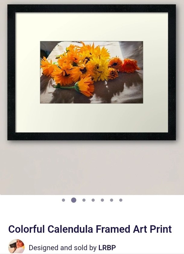post photo preview
