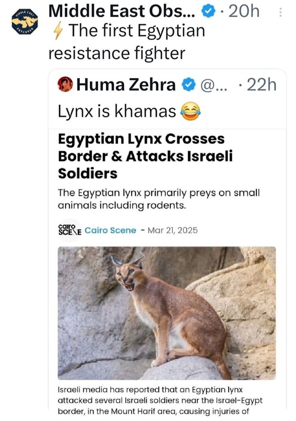 Egyptian kitty attacks zionists