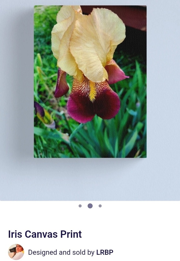 post photo preview