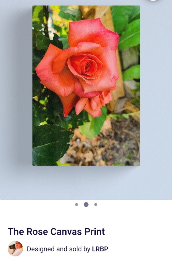 post photo preview