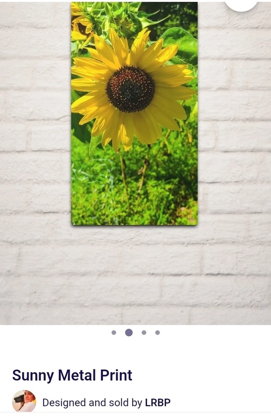 post photo preview