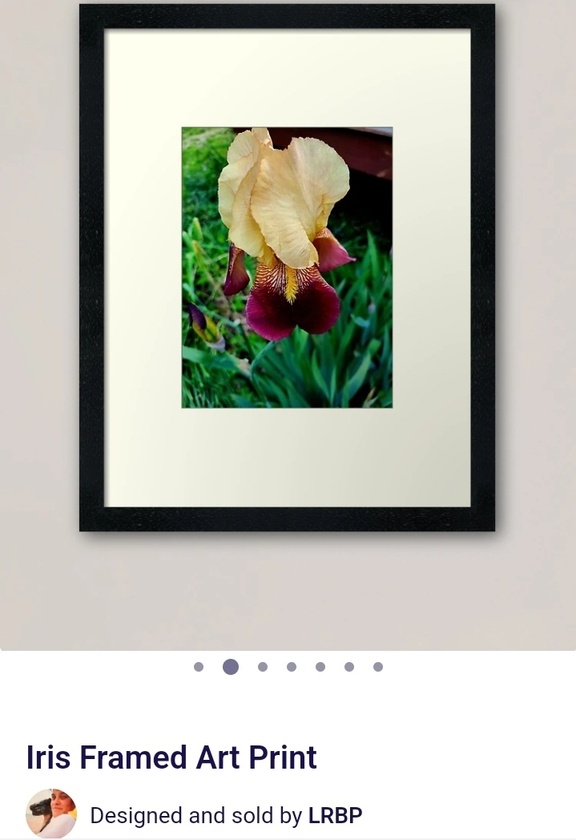 post photo preview
