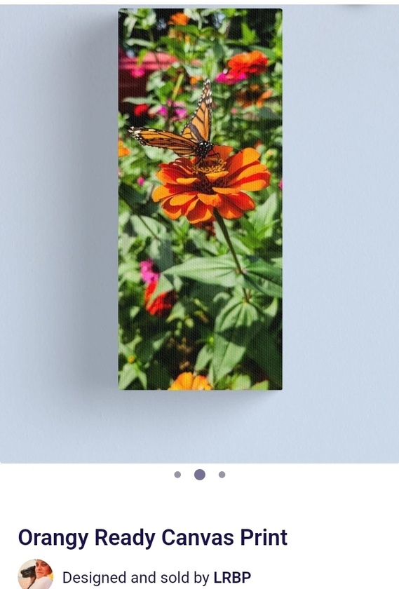 post photo preview