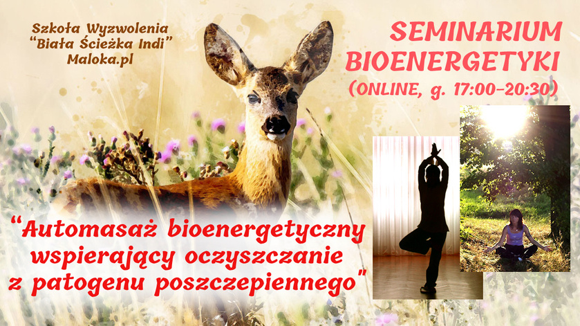 SEMINARIUM Bioenergetyki, cz.II: 'Automasaż bioenergetyczny wspierający oczyszczanie z patogenu ...