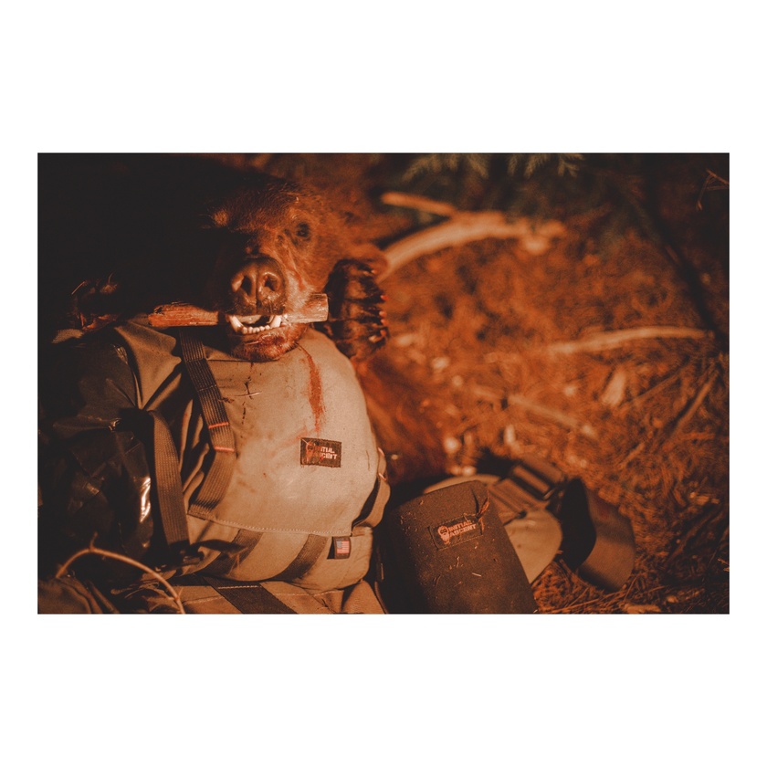 post photo preview