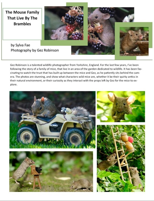 post photo preview