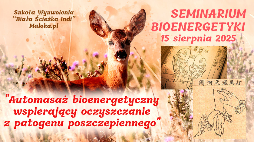 SEMINARIUM Bioenergetyki, cz.II: 'Automasaż bioenergetyczny wspierający oczyszczanie z patogenu ...