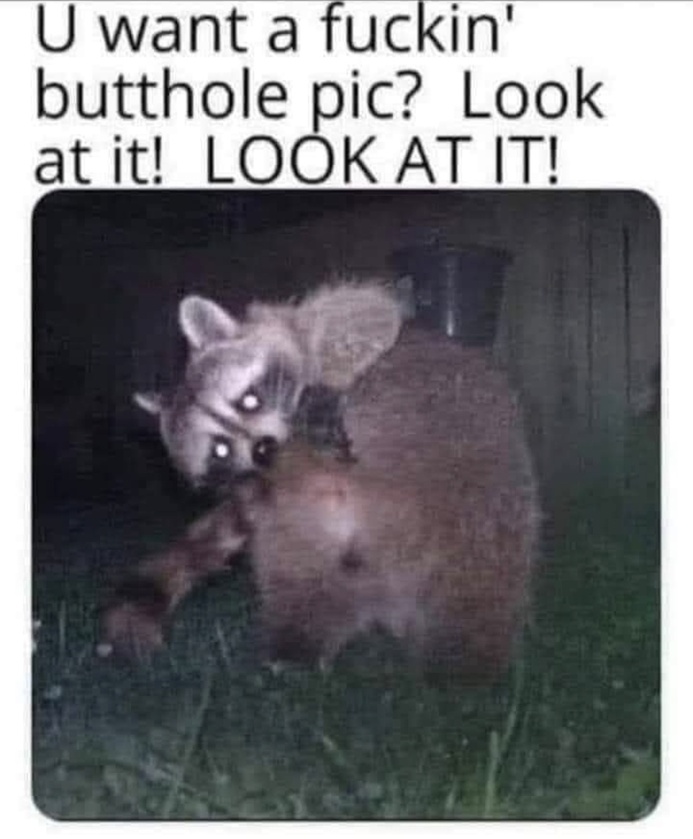 post photo preview