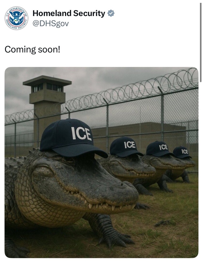post photo preview