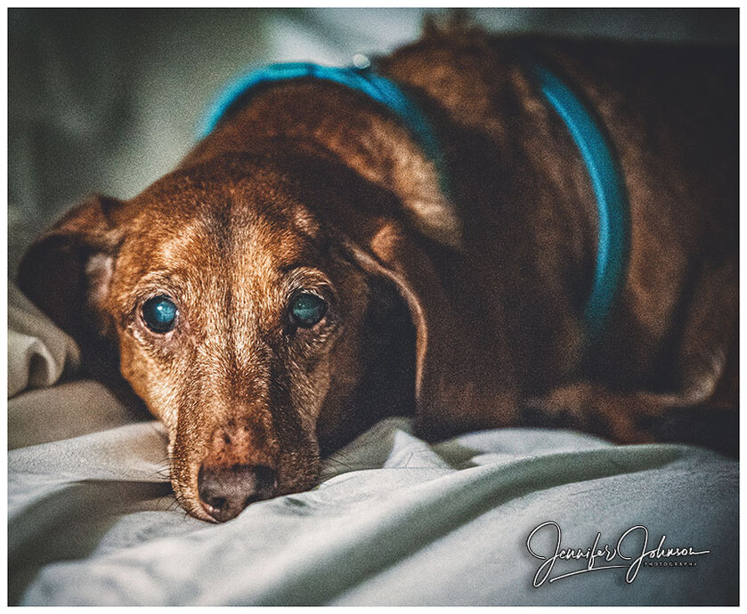 post photo preview