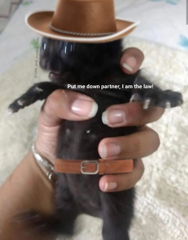 post photo preview