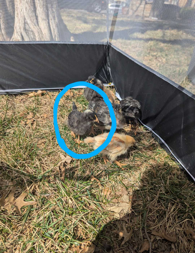 post photo preview