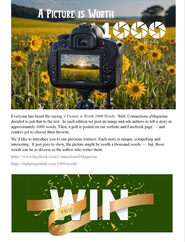 post photo preview