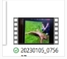 post photo preview