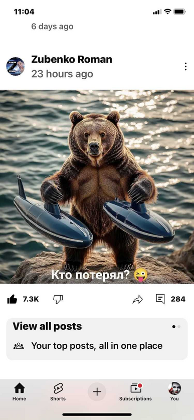 bear finds submarines