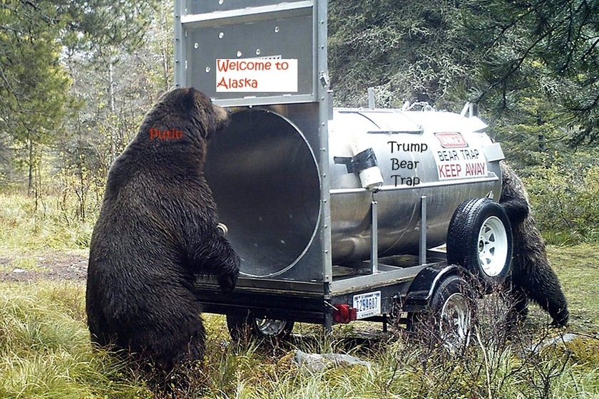 BEAR TRAP ALASKA 