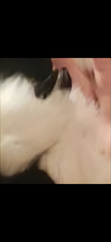 post photo preview