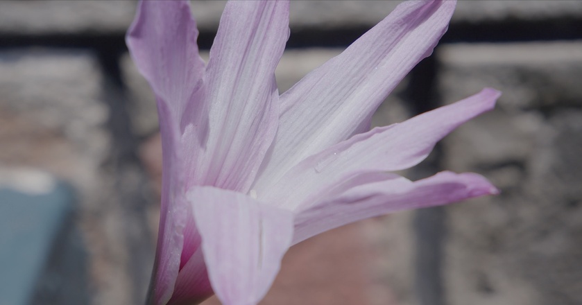 post photo preview