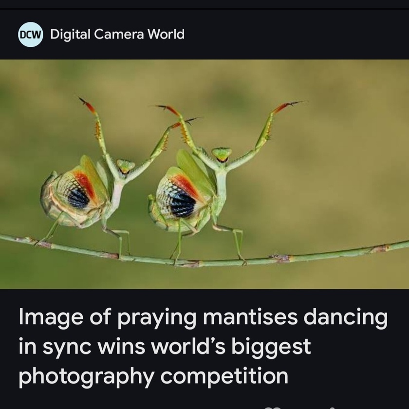 post photo preview