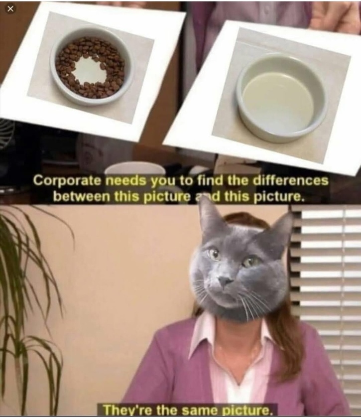 post photo preview