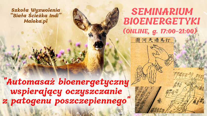 SEMINARIUM Bioenergetyki, cz.II: 'Automasaż bioenergetyczny wspierający oczyszczanie z patogenu ...