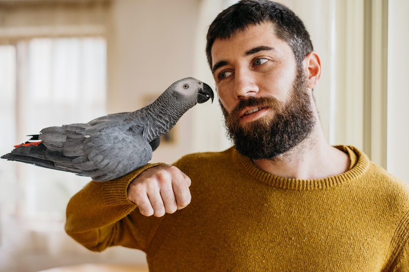 Emotional support parrot calmly sitting on a man’s arm, showing trust, companionship, and comfort through quiet interactionSelect 76 more words to run Humanizer.