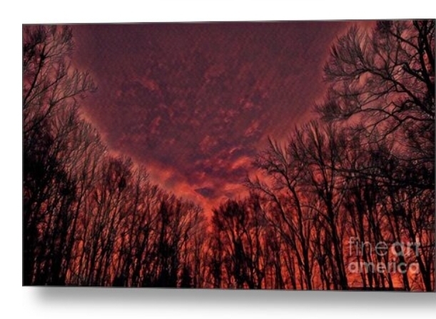 post photo preview