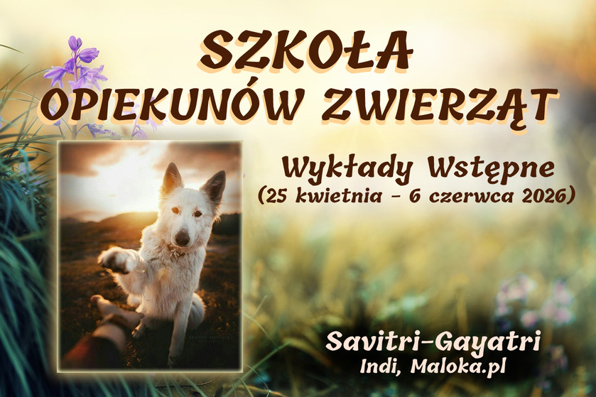 Szkoła Opiekun&oacute;w Zwierząt - Cykl Wykład&oacute;w Wstępnych (25 kwietnia - 6 czerwca 2026)