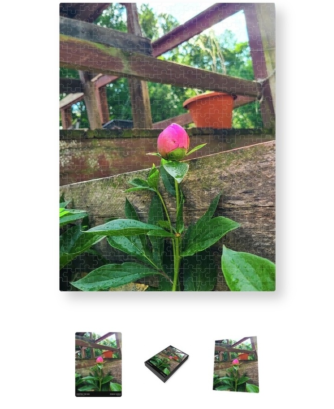 post photo preview