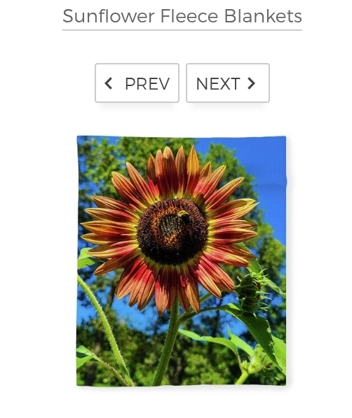 post photo preview