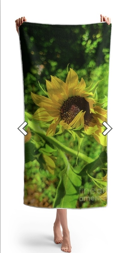 post photo preview