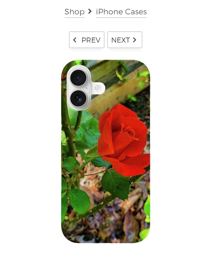 post photo preview