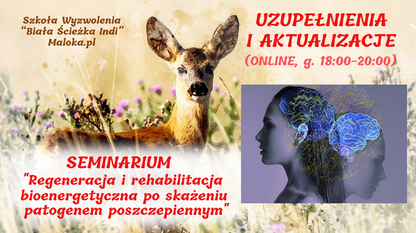 SEMINARIUM 'Regeneracja po skażeniu patogenem poszczepiennym'  - UZUPEŁNIENIA I AKTUALIZACJE, cz.I...