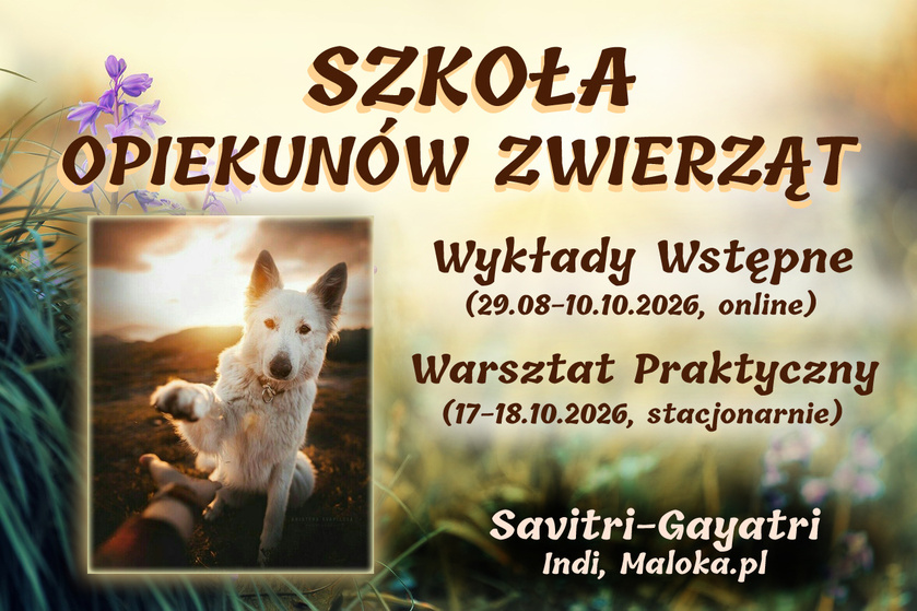 Szkoła Opiekun&oacute;w Zwierząt - Cykl Wykład&oacute;w Wstępnych (29 sierpnia - 18 października 2026)