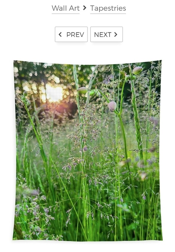 post photo preview