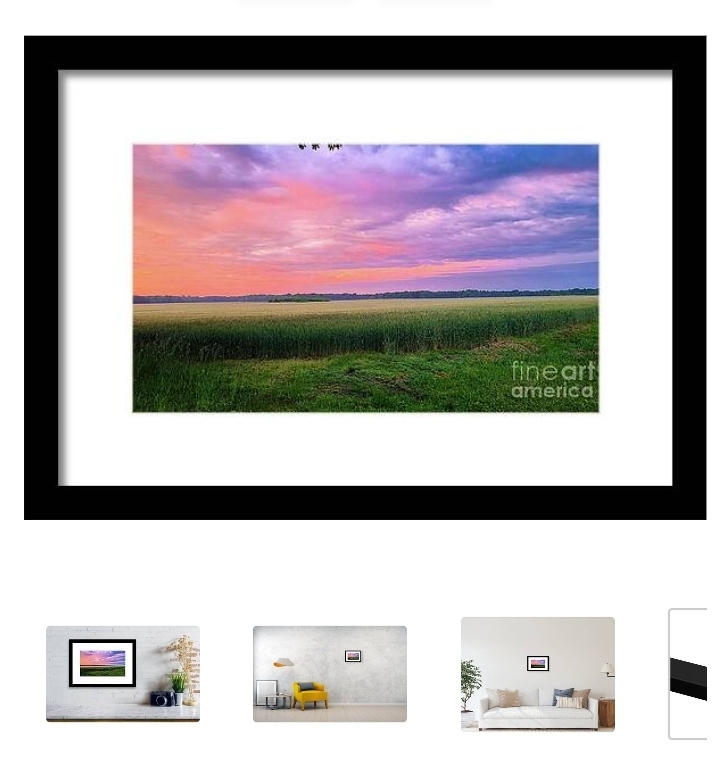 post photo preview