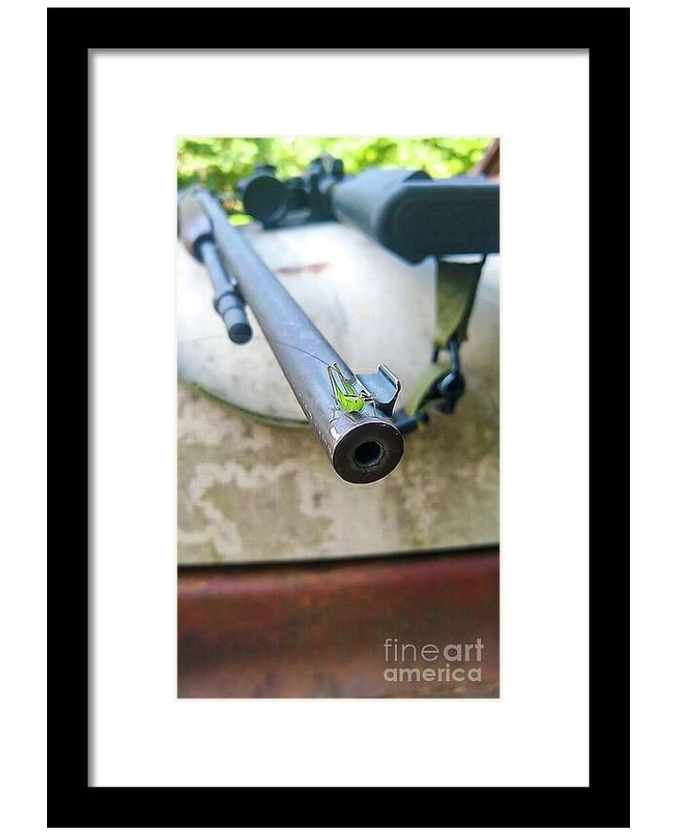 post photo preview