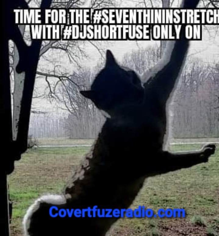 post photo preview