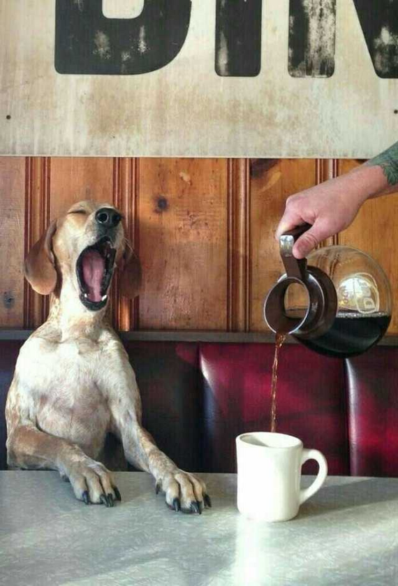 post photo preview