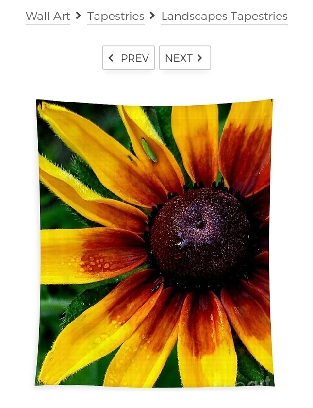 post photo preview
