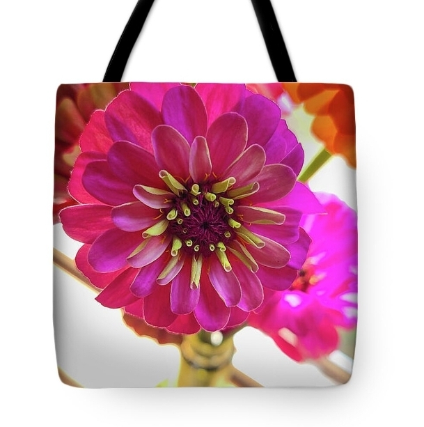 post photo preview