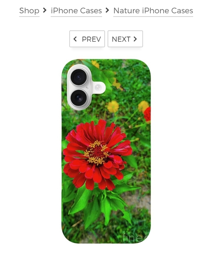 post photo preview