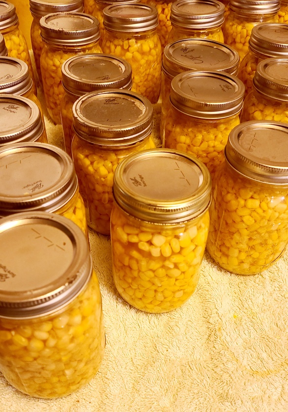 Day 2 Of The 
#everybitcountschallenge
Preserve Something Every Day For The Month Of August !
...