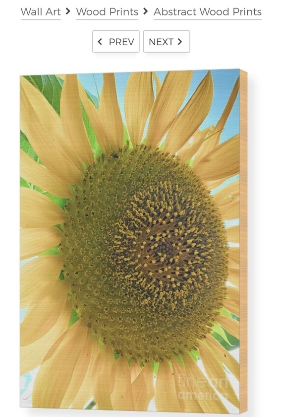 post photo preview